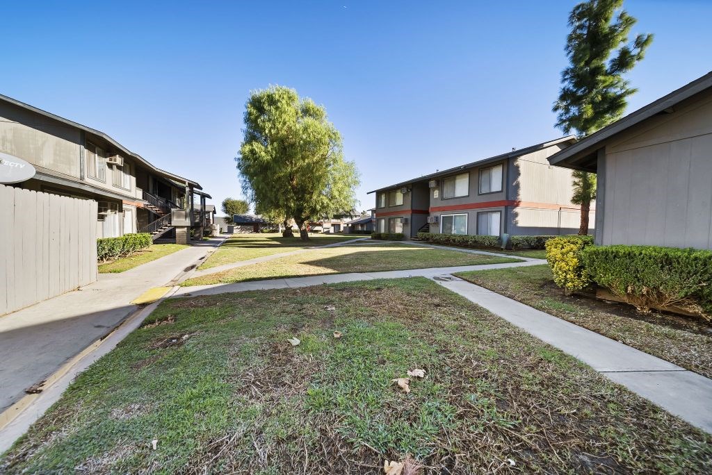A sunny day in a residential area with houses and a tree in the middle.