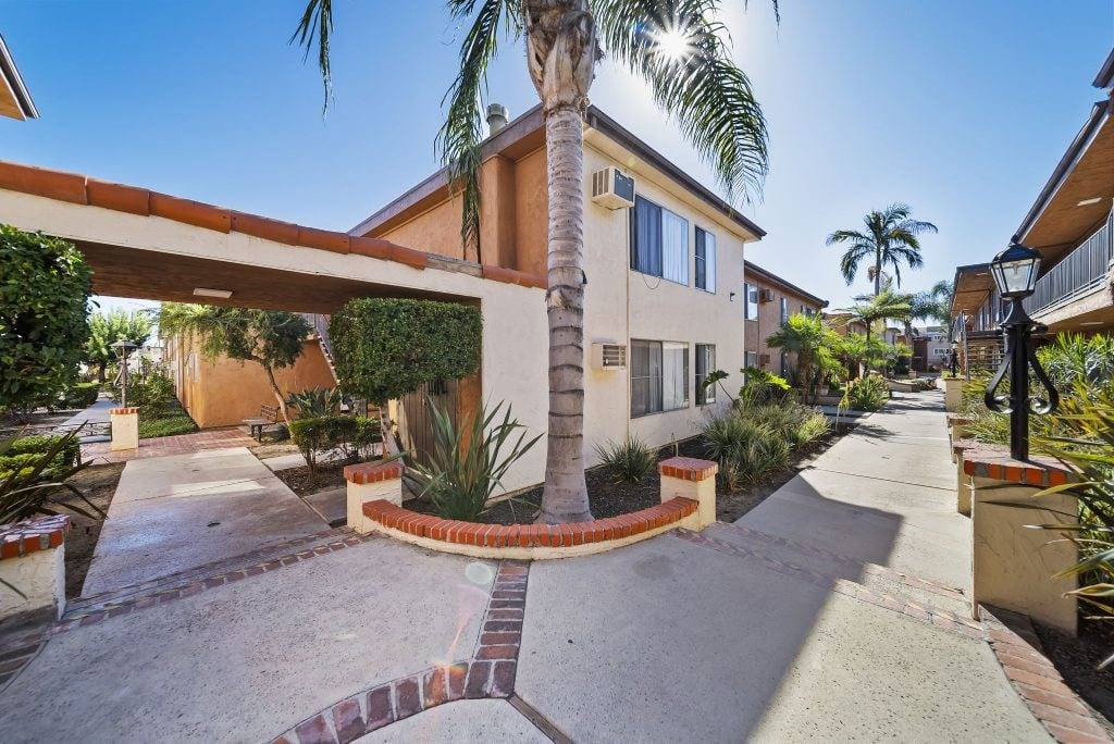 A palm tree stands in front of a house with a red brick border.