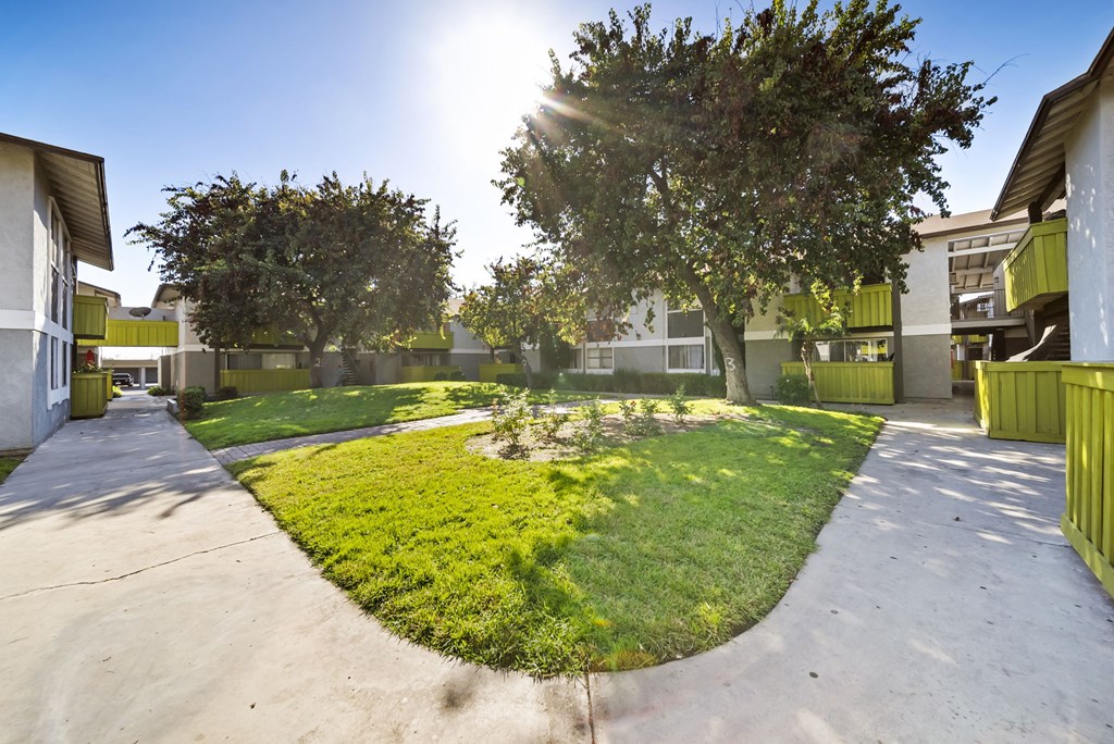 A sunny day at a park with a green lawn and trees.