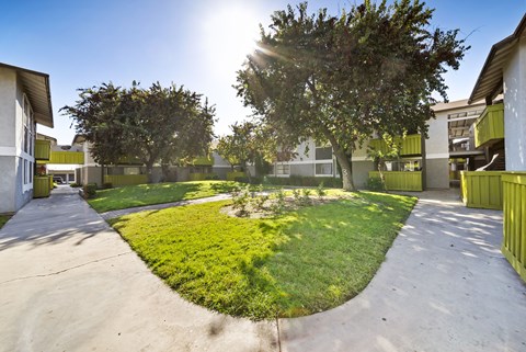 A sunny day at a park with a green lawn and trees.