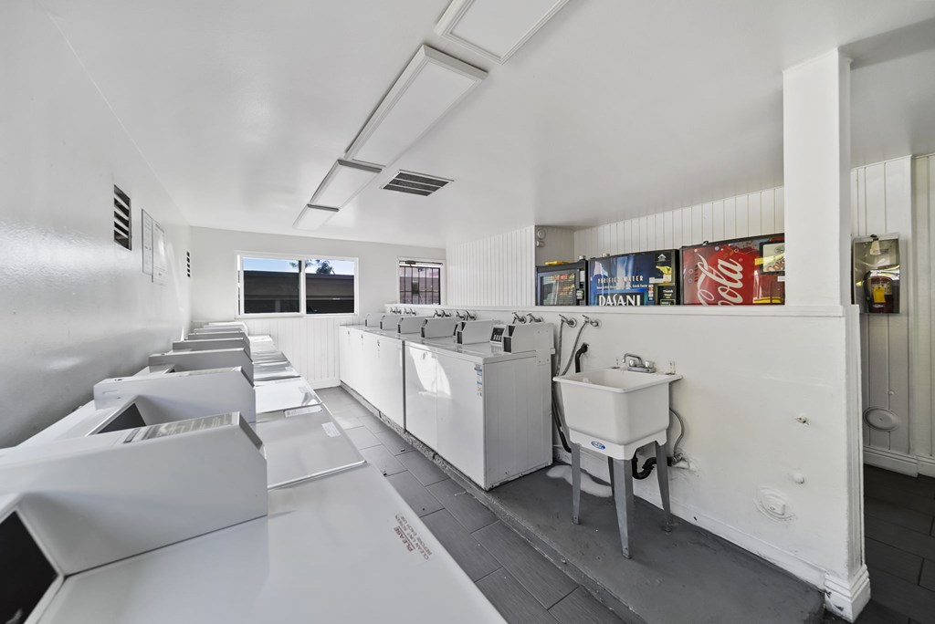 A row of white sinks are lined up in a room.