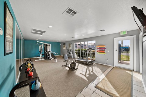 A gym with a variety of equipment including a treadmill, weights, and a bench press.