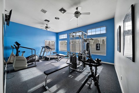 A gym with a variety of equipment including treadmills, weights, and a bench press.