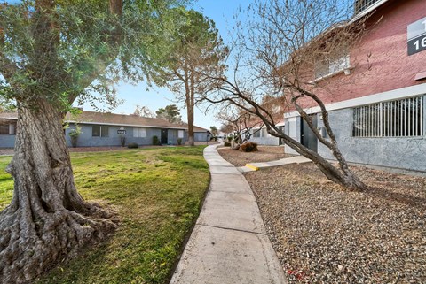 A tree with a thick trunk and a house number 16 in the background.