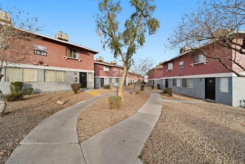 A tree in the middle of a gravel area with a concrete walkway and apartment buildings in the background.