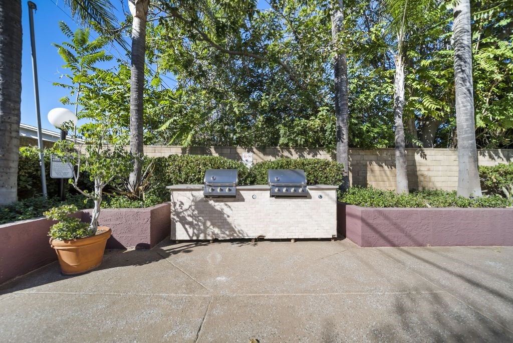 A patio with a grill and a potted plant.