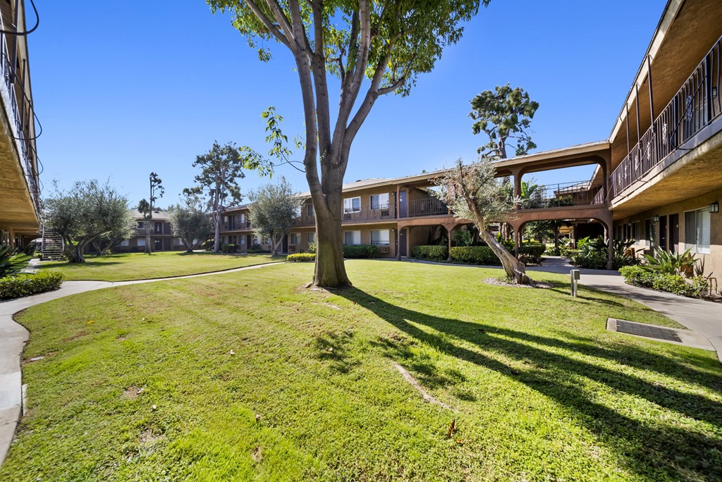 A tree in a grassy area in front of apartment buildings.