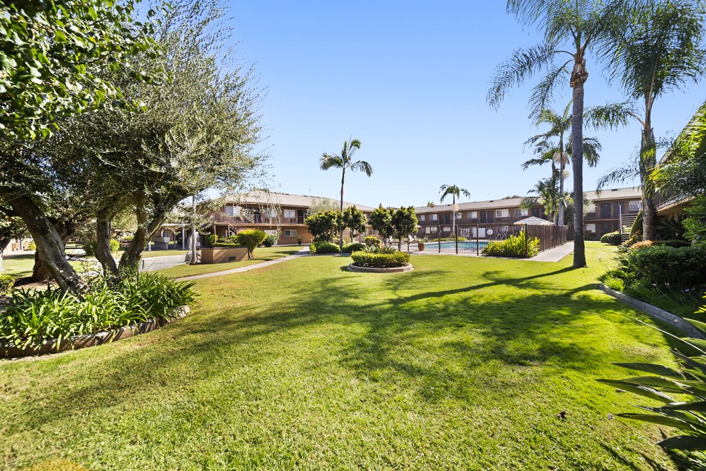 A sunny day at a park with palm trees and a building in the background.