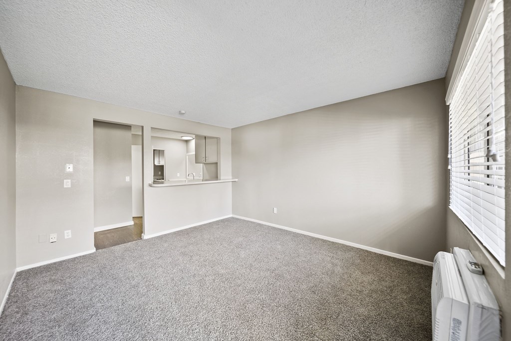 A room with a carpeted floor and a window with blinds.
