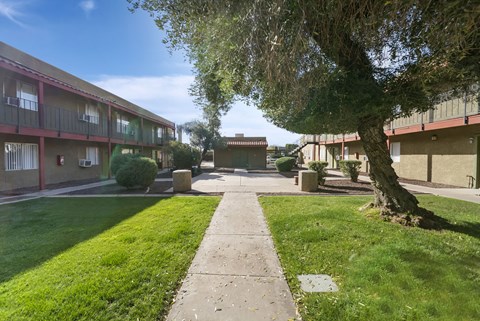 A tree in a grassy area in front of apartment buildings.