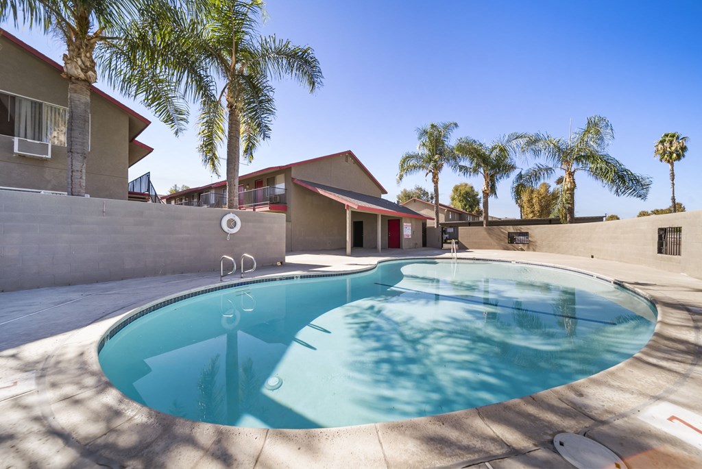 A swimming pool in a residential area with palm trees.