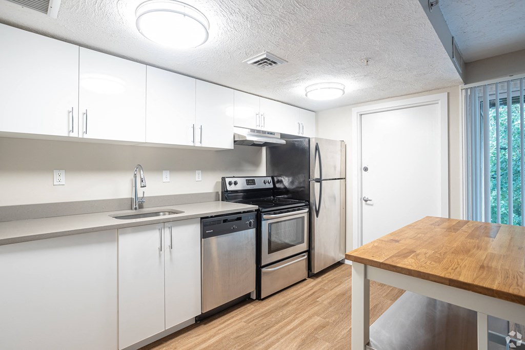 open kitchen island pool park quartz RISD walkable dishwasher stainless steel mbta commuter route 95 195 free parking wifi included apartments luxury pet friendly