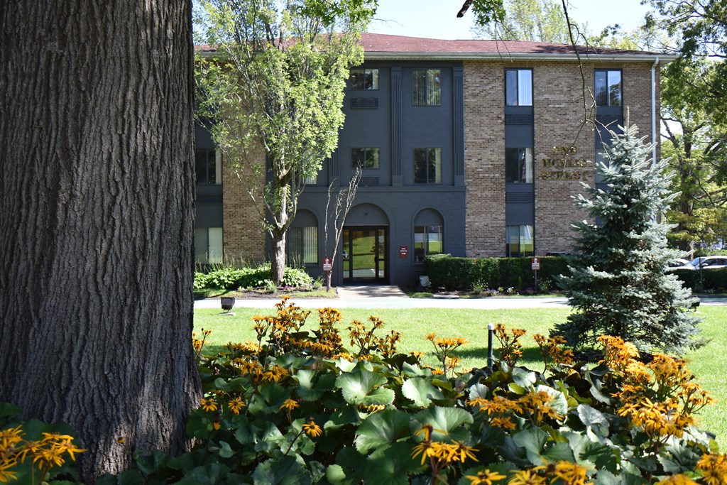a building with a tree in front of it