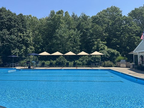 A large blue swimming pool surrounded by trees and umbrellas.