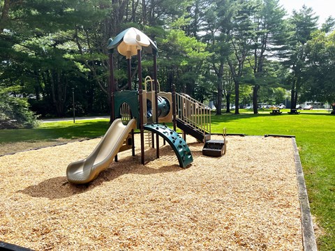 Play structure at Pointe