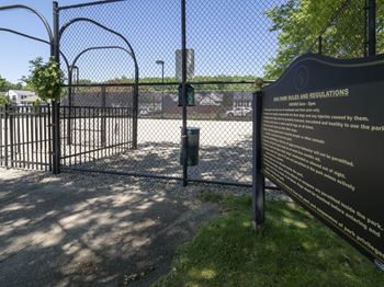 Dog Park