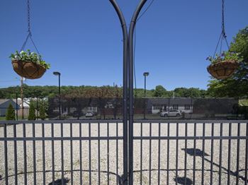 Dog Park 2