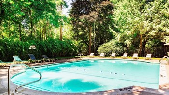 Taymil Forest Ridge Outdoor Pool - Photo Gallery 19
