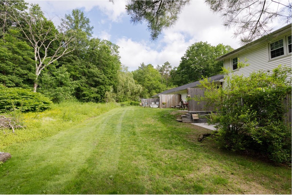 Taymil Holly House Backyard