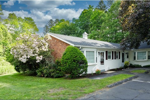 Taymil Holly House Building Exterior