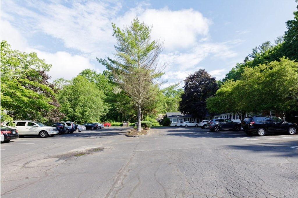 Taymil Holly House Parking Lot