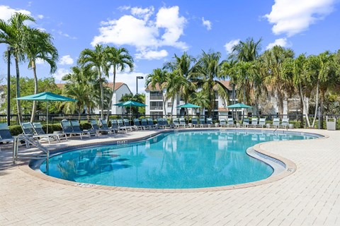 A large outdoor swimming pool surrounded by palm trees at The Atlantic Preserve, Plantation, FL