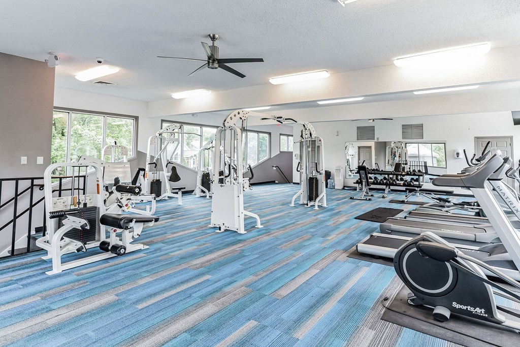 a gym with cardio machines and weights on a blue and white rug  at Harrison Grande, North Carolina