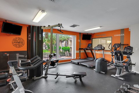 A gym with orange walls and a variety of equipment at Boca Colony Apartments, Florida