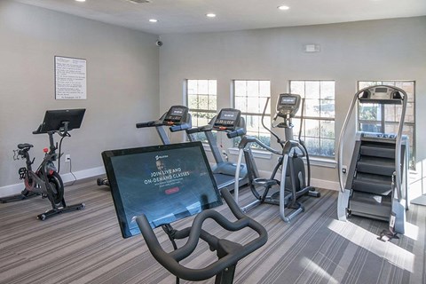 Fitness center with cardio equipment and windows at The Palmera Apartments, Schertz, 78154