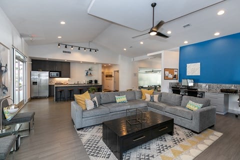 a living room with a blue accent wall and a gray couch