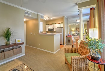 Model- The Palazzo - Photo Gallery 8