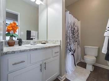 furnished bathroom in model home