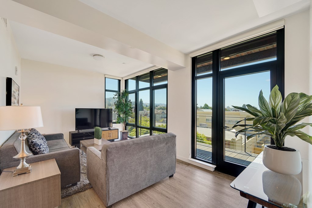 A living room with a grey couch, a television, a lamp, and a plant.