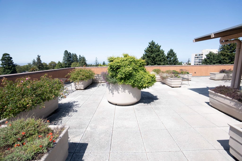 A courtyard with a large planter in the middle.