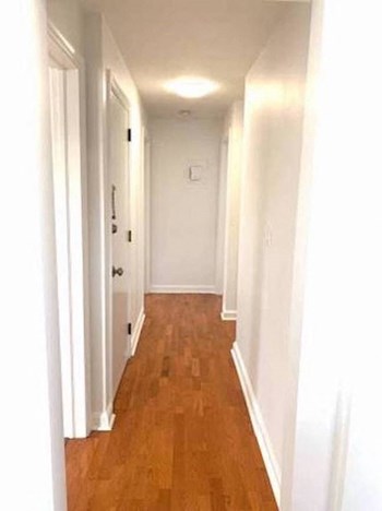 21 Melrose Ave Studio-2 Beds Apartment for Rent - Photo Gallery 4