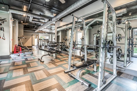 A gym with a variety of equipment including a squat rack and a bench press.