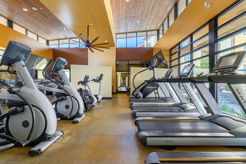 a gym with treadmills and ellipticals at the resort at governors crossing