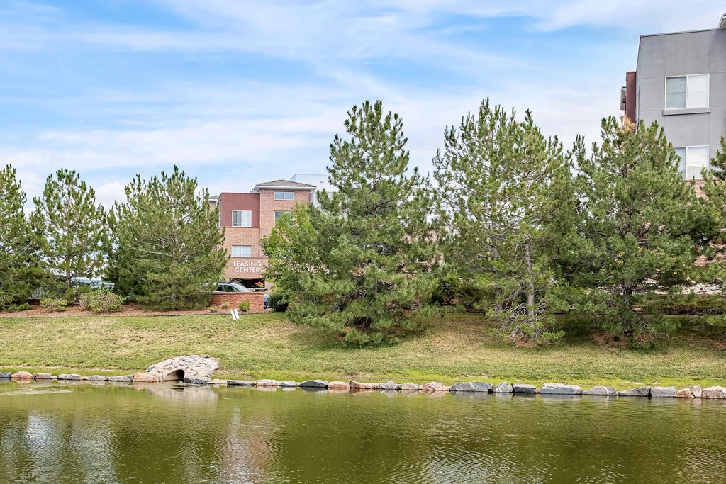 a view of a pond with trees and buildings in the background