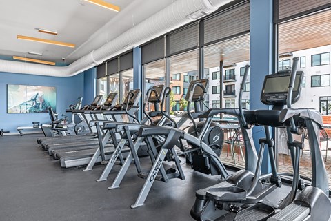 A gym with treadmills and exercise equipment.