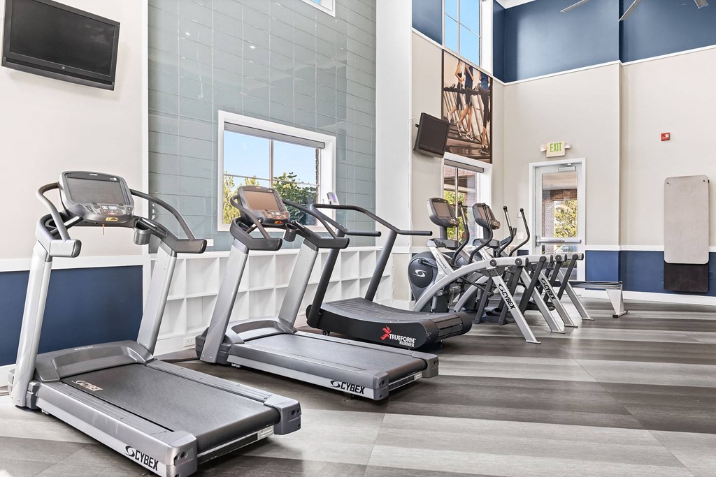 a row of cardio exercise machines in a gym