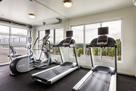 A gym with treadmills, elliptical machines, and a stationary bike.