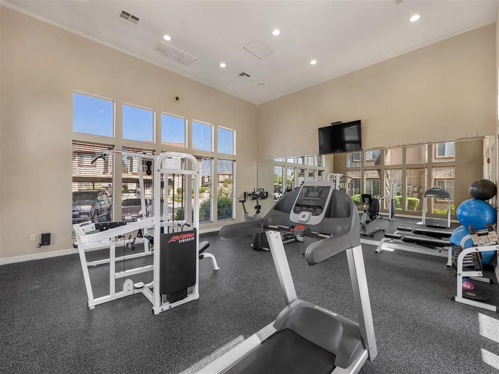 a gym with a treadmill and weights and a tv