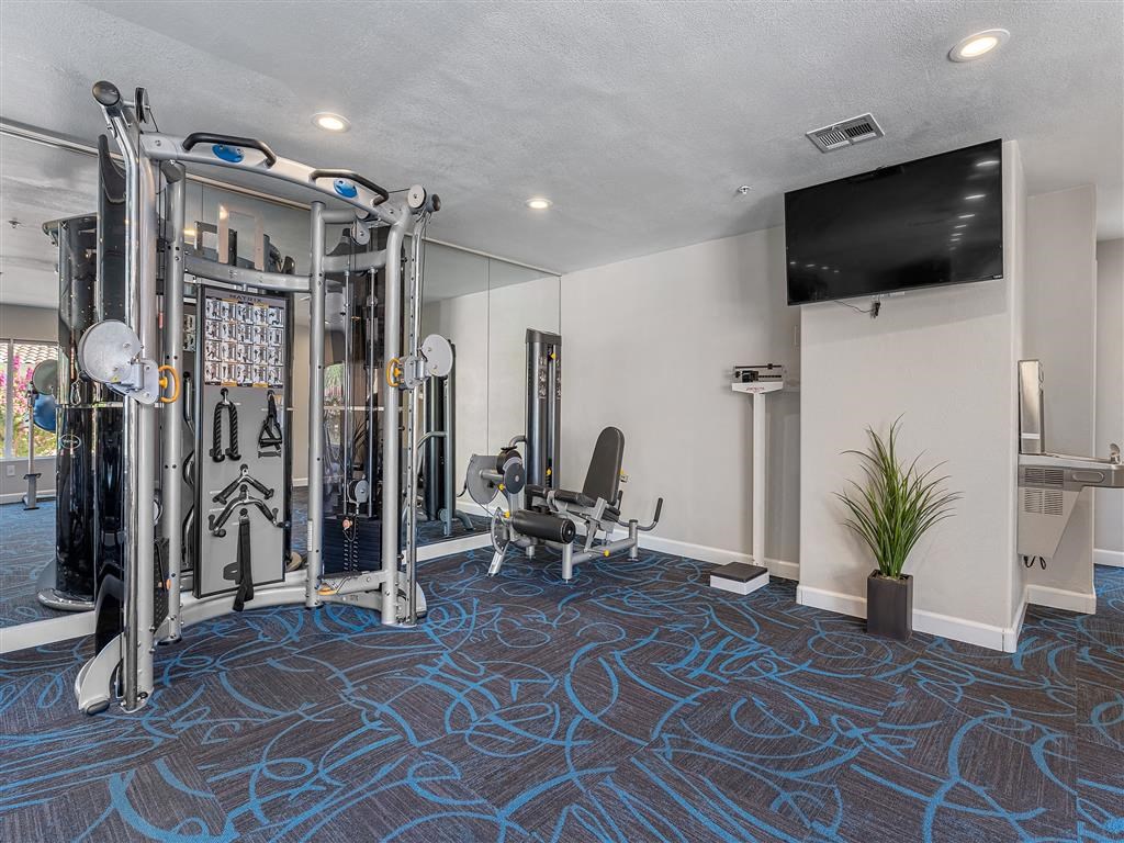 a gym with weights and a tv in the corner of a room