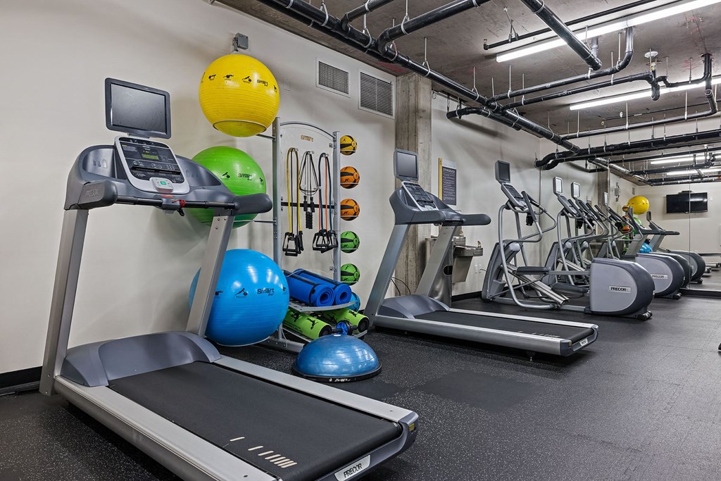 a workout room with treadmills and weights in a gym