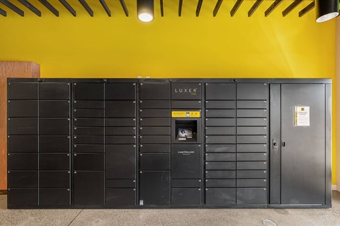 the lockers in the library are painted black and have a yellow wall behind them