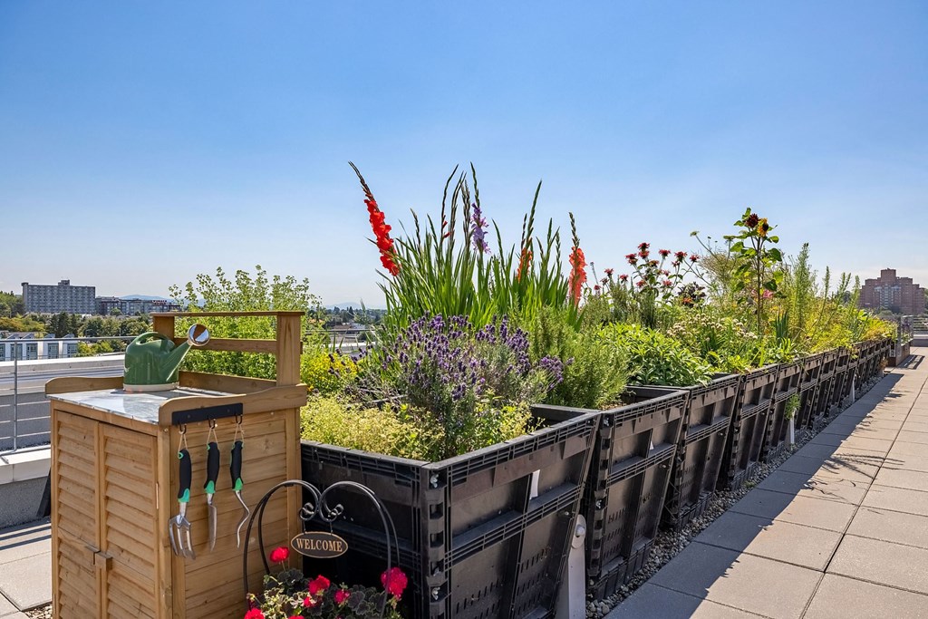 a rooftop garden with plants and flowers on a sunny day