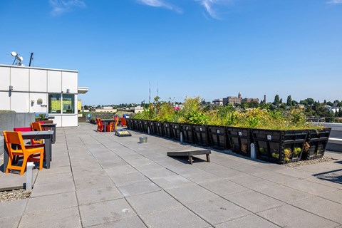 a rooftop patio with tables and chairs and plants
