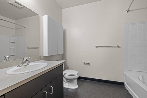 a bathroom with a sink toilet and a mirror
