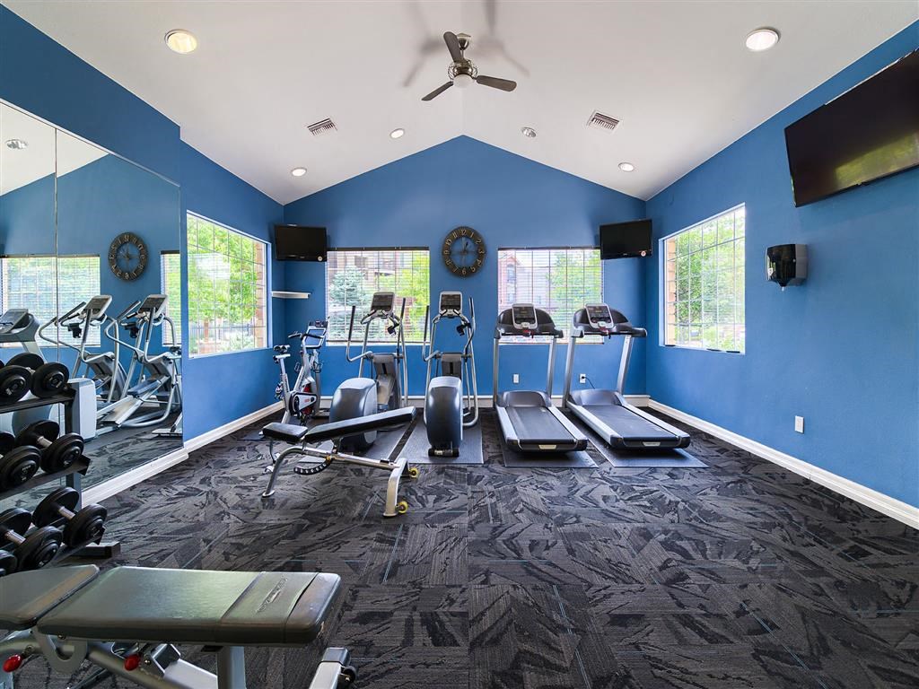 a gym with cardio equipment and weights in a room with blue walls