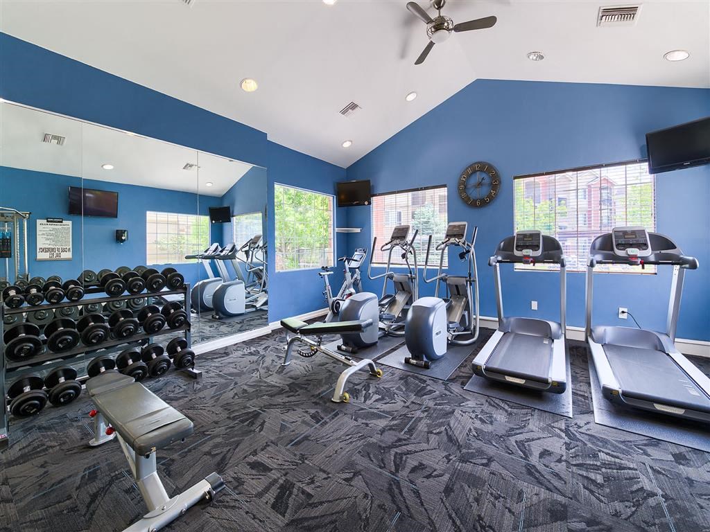 a gym with a lot of weights and cardio equipment